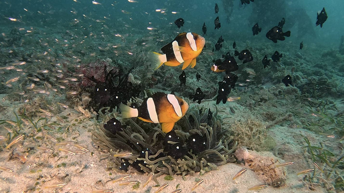 Article slider featured image