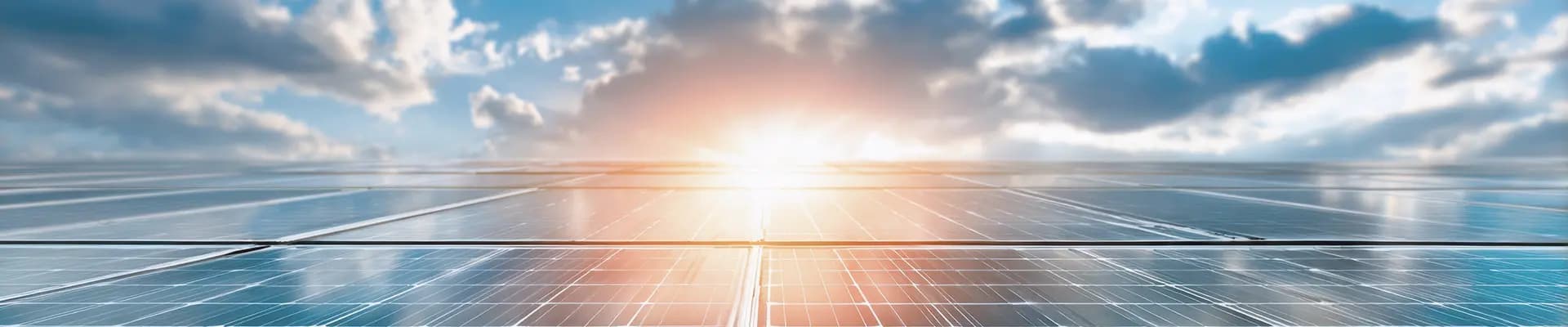 Decorative background image for section header