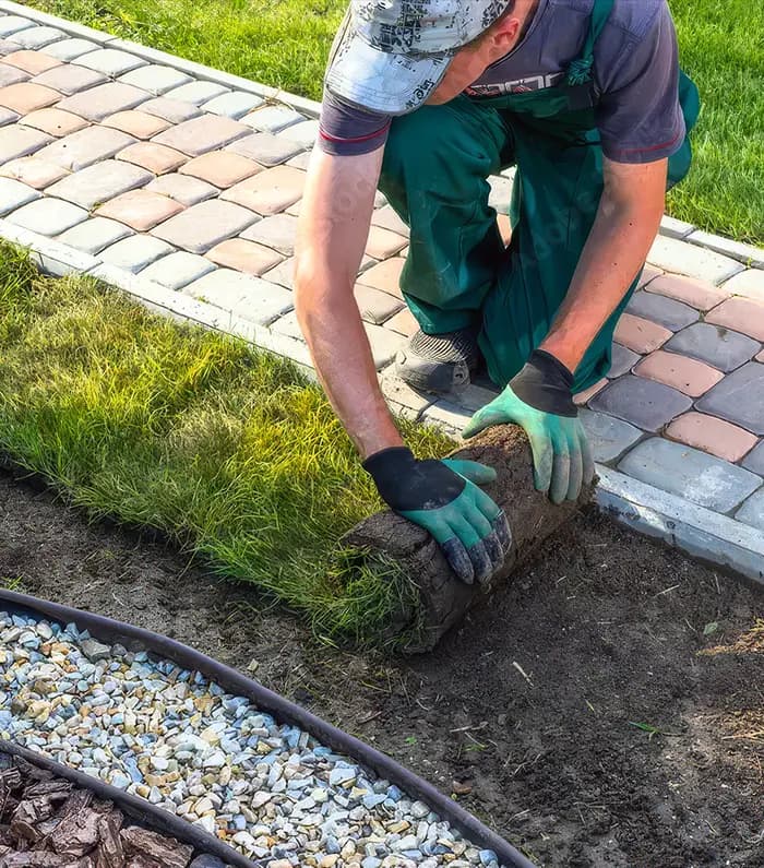 A gardener placing new grass on a garden bed