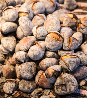 Image grid with caption